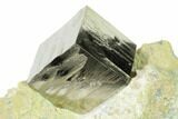 Natural Pyrite Cube In Rock - Navajun, Spain #168502-1